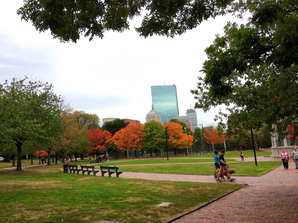 Boston Common, from Fall 2013. Photo by Zoe Rath.